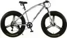 Aegis Handmade Carbon Fiber Bicycle Neffice Fat Tire Mountain