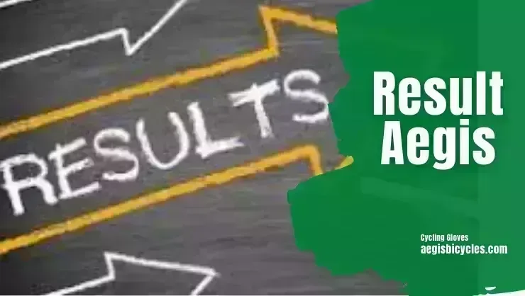 Aegis: What is Aegis Result Aegis