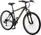 Aegis Handmade Carbon Fiber Bicycle Schwinn High Timber