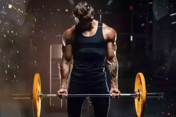 Top Testosterone Boosters for Women 2022 Testosterone Boosters