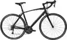 Aegis Handmade Carbon Fiber Bicycle Tommaso Forcella