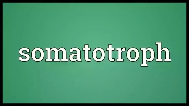 Which Type Of Anterior Pituitary Cell Secretes Human Growth Hormone