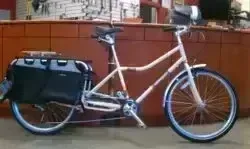 Great Bike Brands for Urban Biking Activity Xtracycle Radish