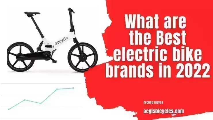 Electric Bike Battery