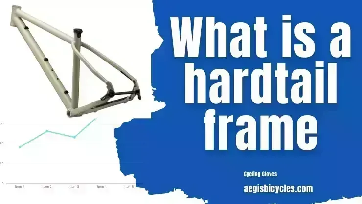 How to Choose the Right Hardtail Frame for You! 2022 What is a hardtail frame