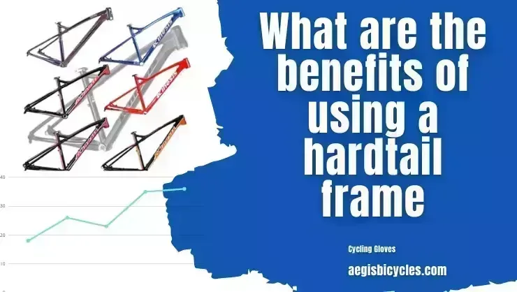 How to Choose the Right Hardtail Frame for You! 2022 What are the benefits of using a hardtail frame