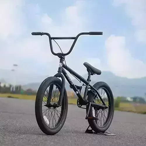 AVASTA Bacchus BMX 20インチ ブラック 楽天市場】AVASTA BacchusBMX 自転車 20インチ フリースタイル